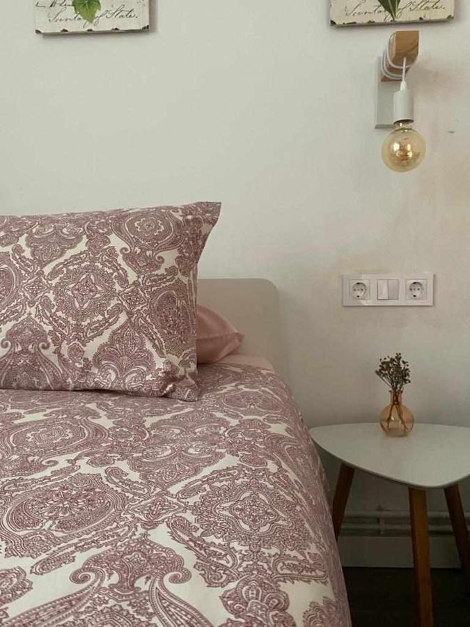 Apartamento Ayla Camino De Santiago Pamplona Ngoại thất bức ảnh